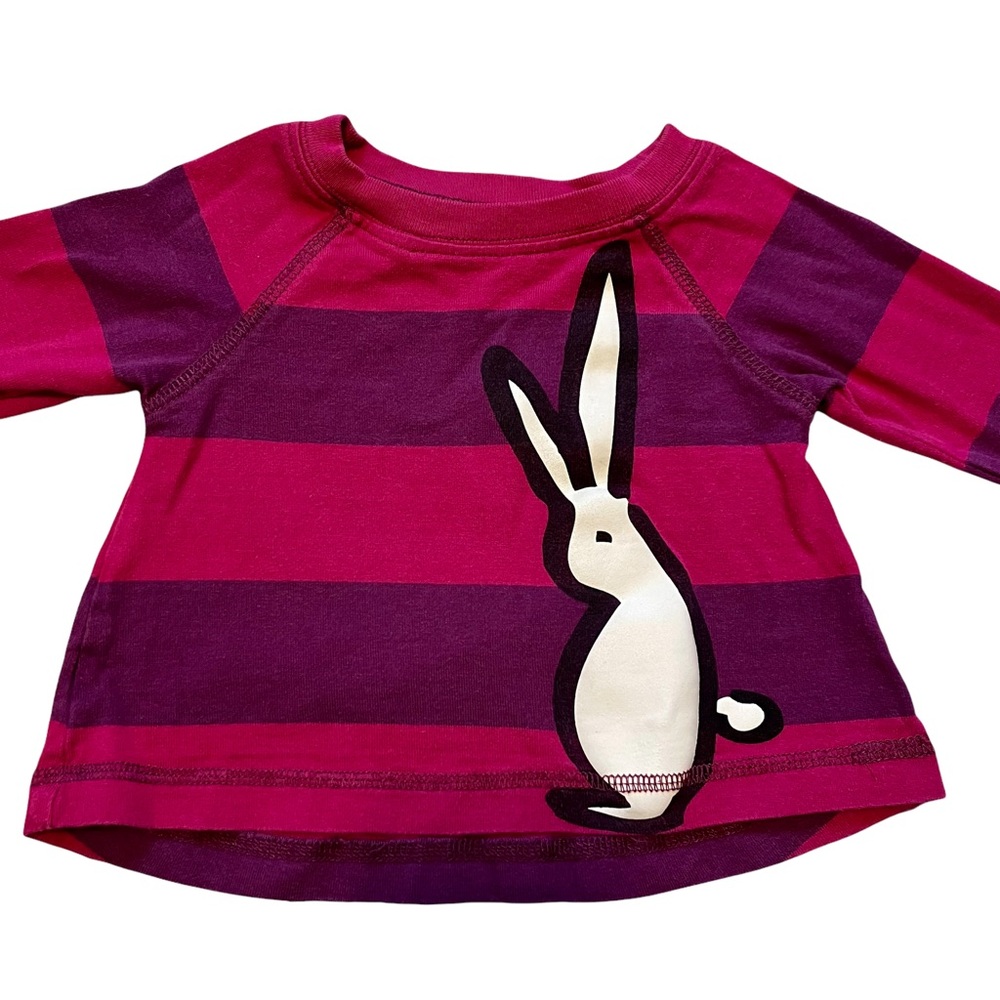 Tea Collection Infant size 0-3 month xxs bunny graphic t-shirt